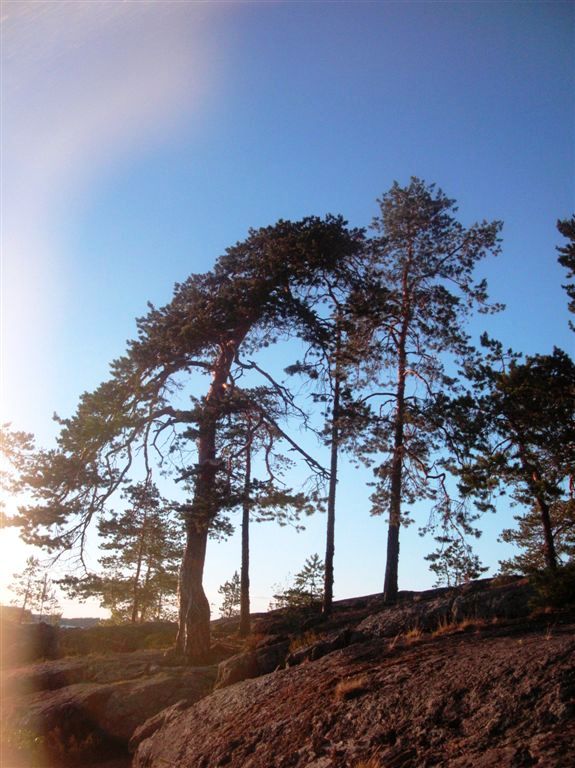 Savonlinna (135).jpg